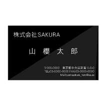 名刺 4号 ミラー ブラック 100枚 / 箱 【 名入れ 印刷なし 紙の販売です 】 【4号 特殊紙 光沢】