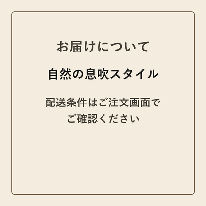 自然の息吹スタイル クラフトメモ帳 配送条件の確認