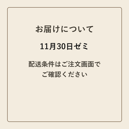 11月30日ゼミ クラフトメモ帳 配送条件の確認