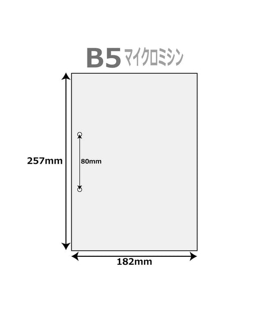 帳票用紙 500枚 ファイル穴２個付 B5サイズ レーザープリンター インクジェットプリンター プリンター用紙 マルチプリンタ用 上質コピー用紙 帳票用紙