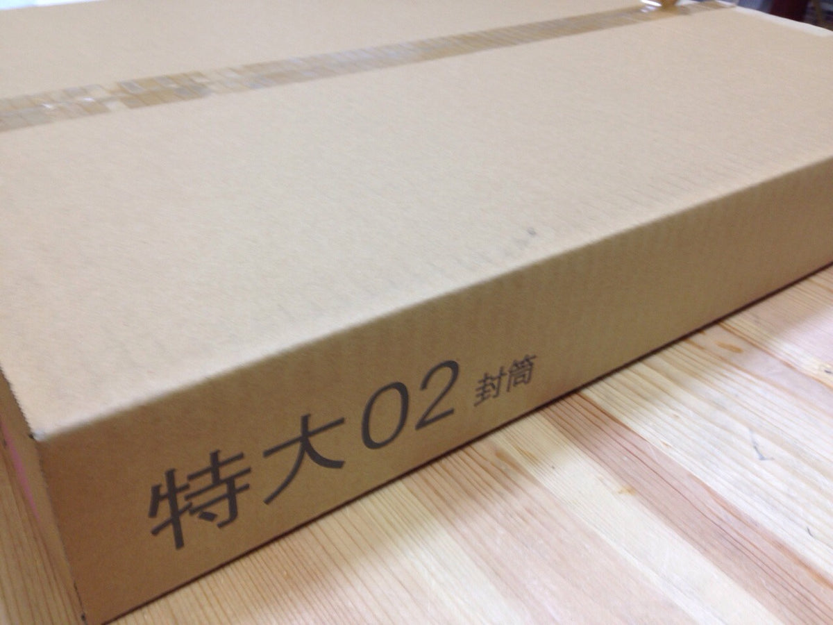 封筒 特大02 カラー 100枚 カラー封筒 Ｋカラー 紙厚 120g （ かなり厚手 ） 大型封筒 クラフトカラー ビビットカラー 特大 2切判 フタなし ベロ（フラップ）なし
