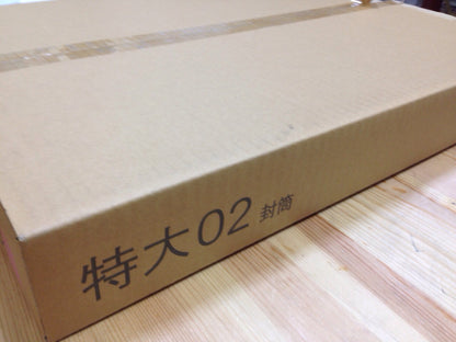 封筒 特大02 ホワイト 100枚 白色封筒 紙厚 120g （ かなり厚手 ） 大型封筒 白 特大 2切判 フタなし ベロ（フラップ）なし