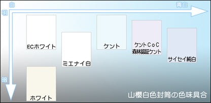 封筒 洋長3 白色封筒 ＥＣホワイト 100g カマス貼 1000枚
